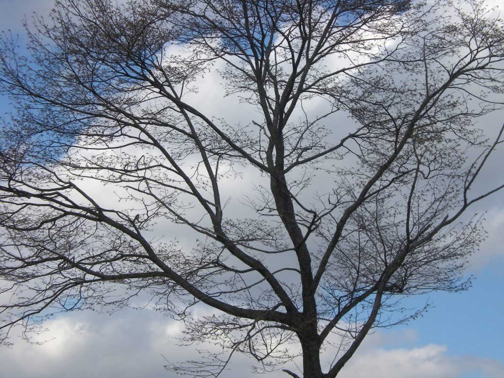 l'arrivo dell'autunno