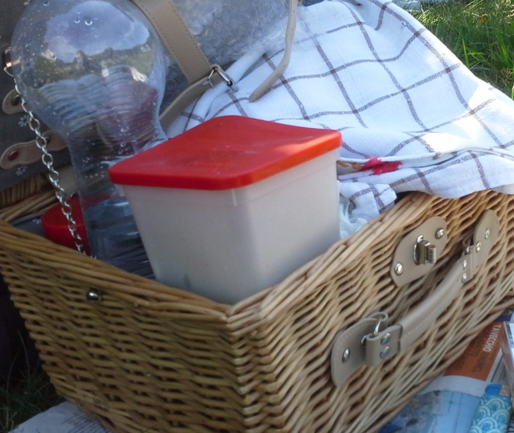 Picnic sui prati
