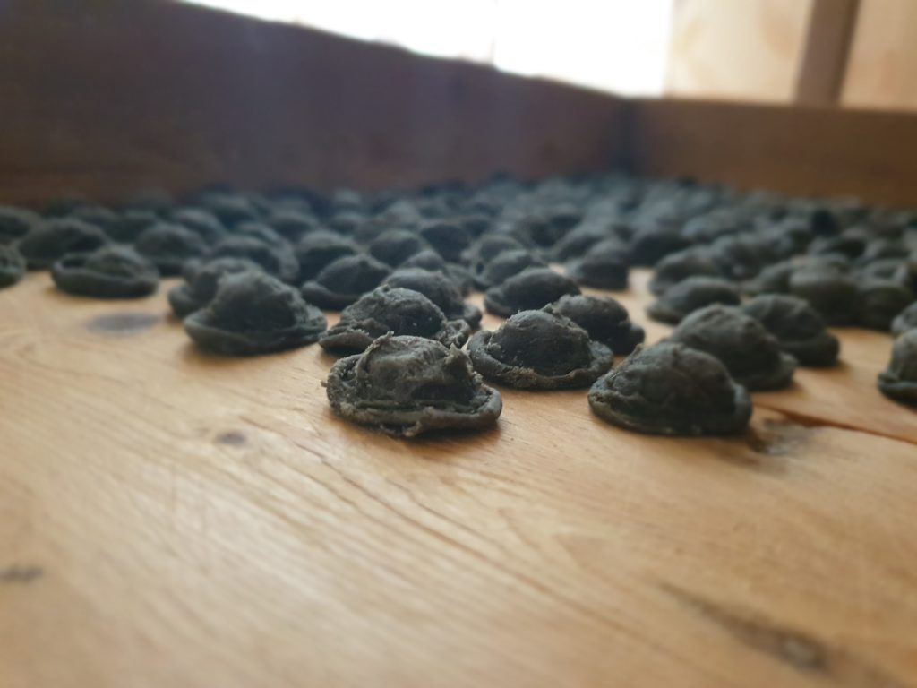 portare avanti le tradizioni della mia amata Puglia...cucinare piatti genuini e gustosi per i miei nipotini è una gran soddisfazione!