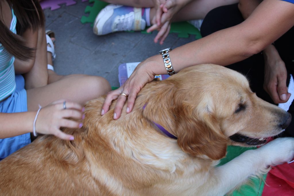 Donare sorrisi ed emozioni con la pet-therapy Grazie ai miei amici a quattro zampe!!!
