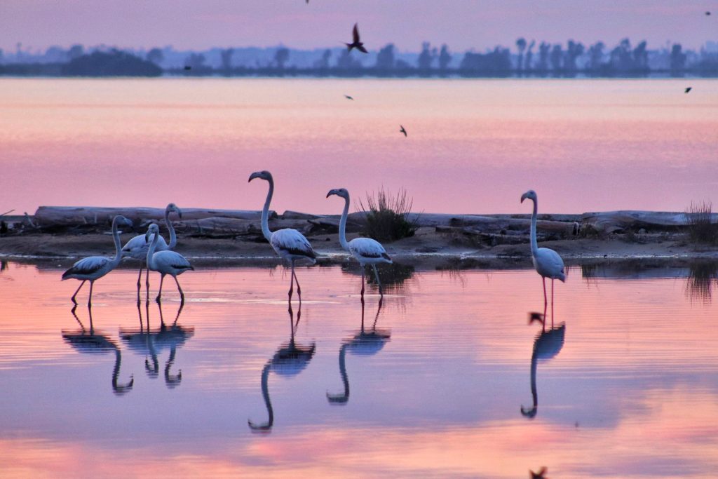 Il mio benessere è riuscire a ritagliarmi sempre uno spazio durante la giornata per rilassarmi la mia reflex. Perché si deve avere un po' di tempo per sé stessi per stare bene.