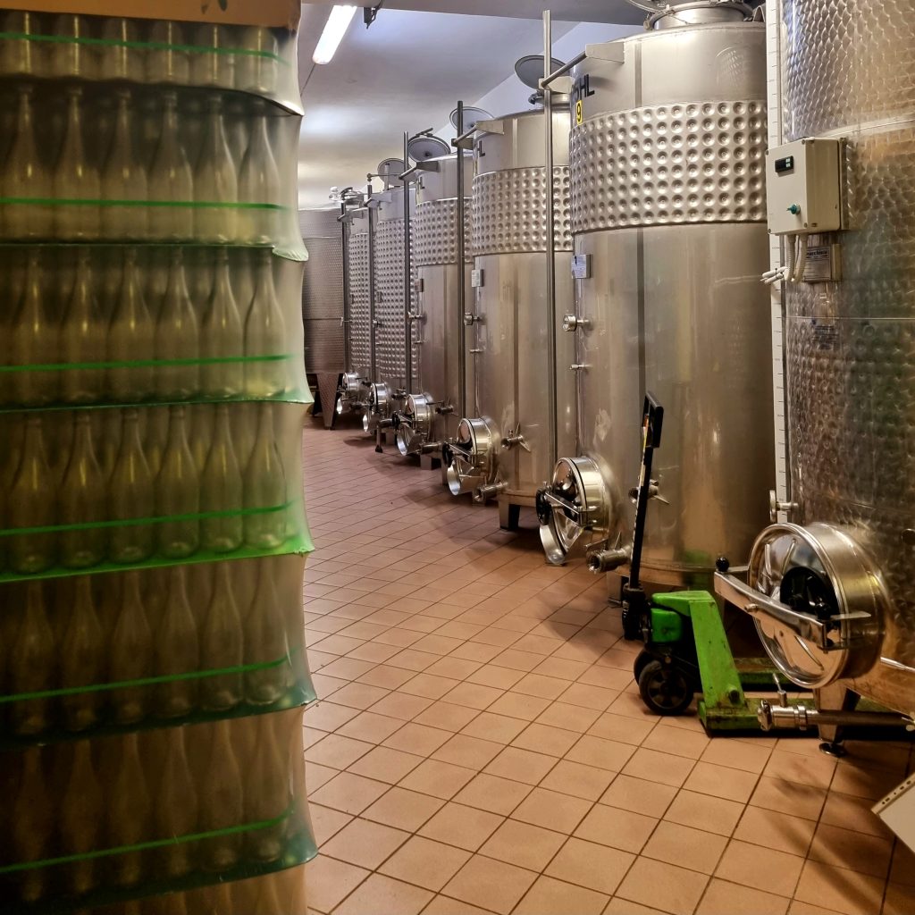 Bere un bicchiere di buon vino bianco. Mi piace acquistare il vino dai produttori locali. Conoscerli e capire il prodotto che sto bevendo. Tutto Km 0.