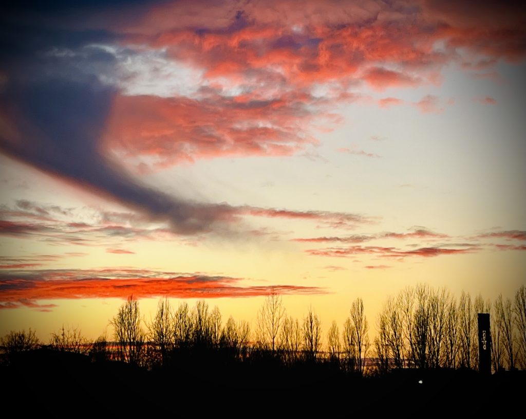 Alla fine della giornata, mi piace fare un piccolo giro intorno a casa e osservare il cielo che piano piano si tinge di colori caldi, mentre il giorno lascia spazio alla sera. 
È il mio modo di ritrovare me stessa, lasciarmi alle spalle le preoccupazioni e mettere da parte tutto lo stress accumulato durante la giornata. Poi rientro a casa, dove mi aspettano le cose più belle e semplici della vita: la pace e il calore della famiglia. Poi preparo la cena.
Perché, in fondo, la vera felicità è proprio questa: rallentare, respirare, godersi il tramonto e sentirsi a casa, con il cuore sereno e circondati dall’amore dei propri cari.