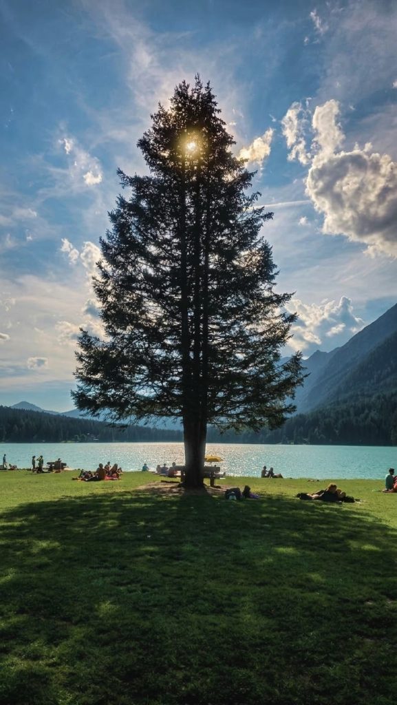 Lasciarmi avvolgere dall' abbraccio della natura, dove ogni ombra è un riparo e ogni raggio di luce un' emozione.
