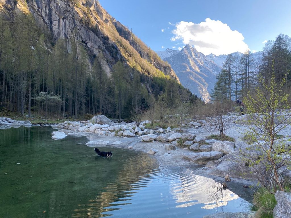 connettermi con la natura come gli animali, senza filtri.
