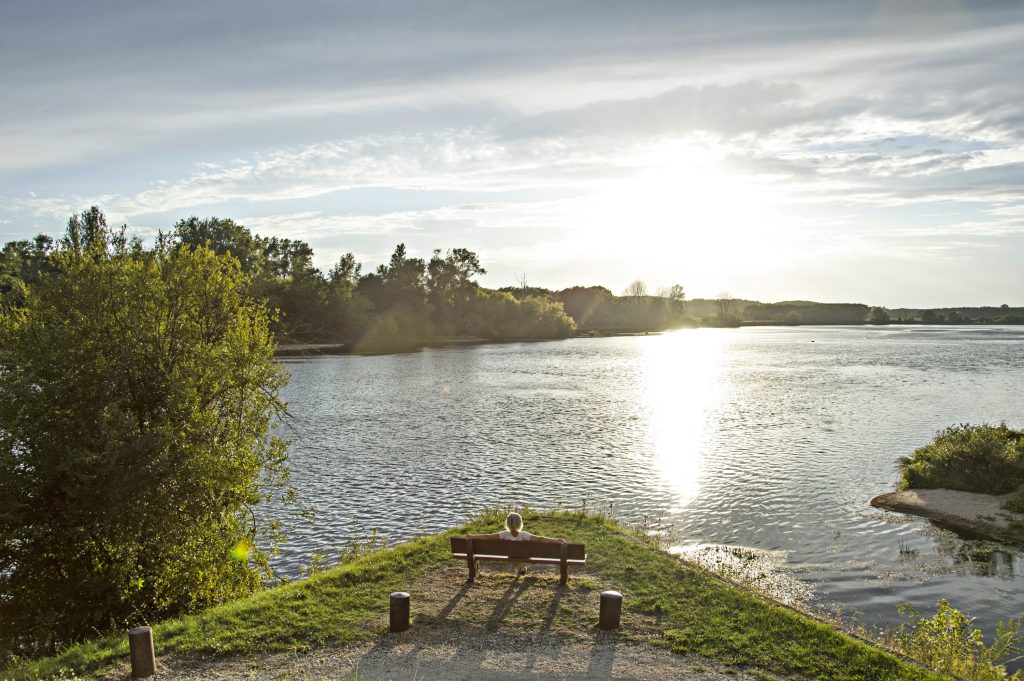 Il mio benessere è...la natura! Essa placa la mente e acquieta il brusio interiore; aumenta la tranquillità, la concentrazione e l' introspezione. Migliora l' umore e riduce i livelli di ansia e stress...