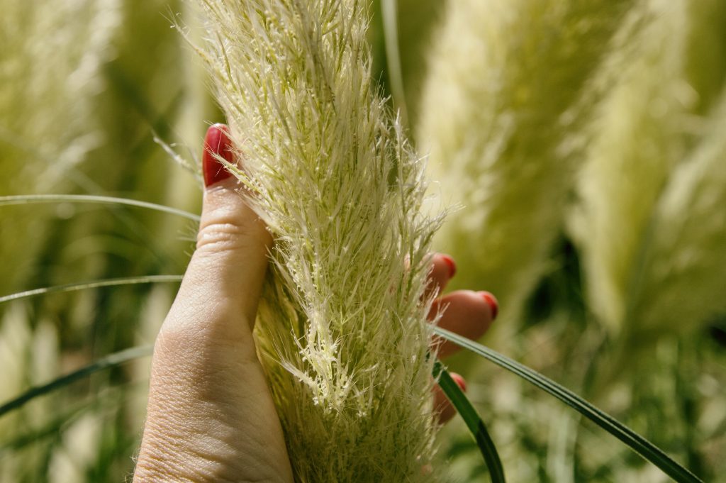 Il mio benessere è...vivere l' ambiente naturale.
Fondamentale é la connessione tra esseri umani e natura per la creazione e il mantenimento del benessere e dei benefici per la salute sia fisica che mentale.
Salvaguardiamolo!