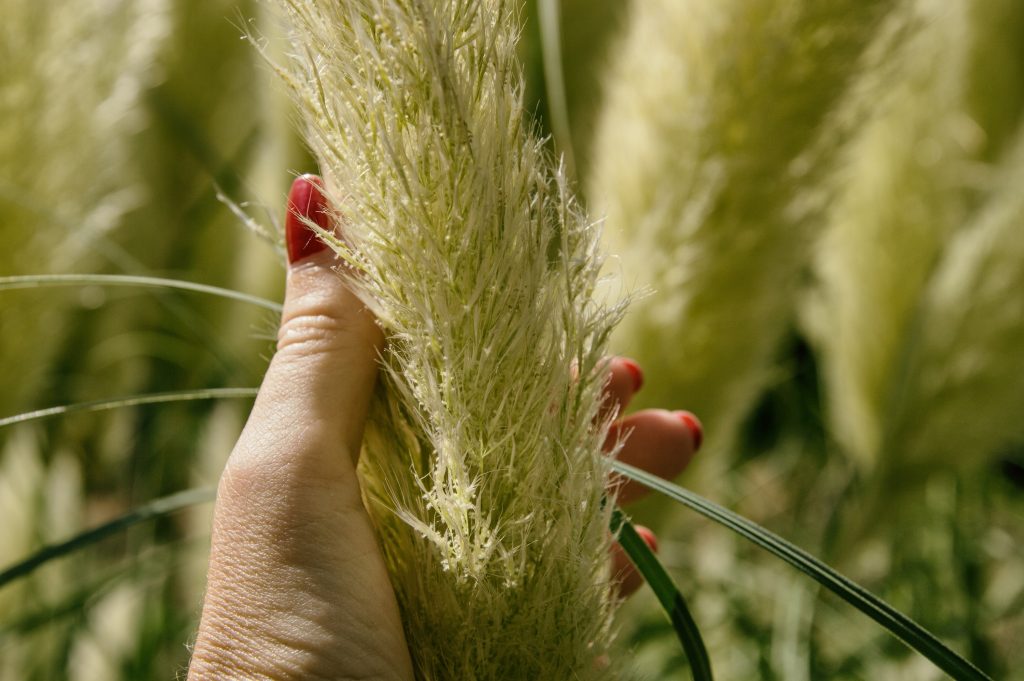 Il mio benessere è...vivere, ogni volta che posso, a stretto contatto con la natura. Essa ha il potere di placare la mente e acquietare il brusio interiore; aumenta la tranquillità, la concentrazione e l'introspezione; migliora l'umore, riducendo gli stati ansiosi e depressivi. Insomma, stare a contatto con la natura influisce positivamente su tutta la sfera della salute: fisica, mentale e spirituale. Riusce a connetterci con la bellezza del mondo facendoci scaturire tante emozioni positive