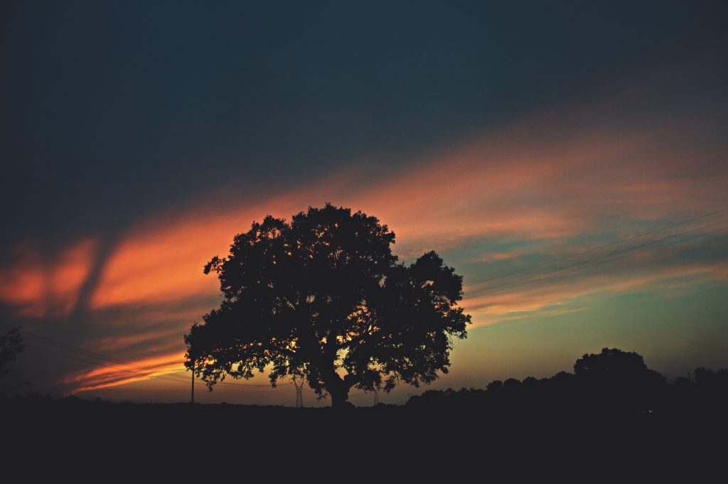 Il mio benessere è...guardaRE estasiatA questo valzer di luci e di colori che si dissolvono...

È praticamente impossibile guardare un tramonto e non sognare. 
(Bernard Williams)