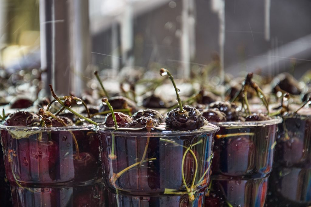 Il mio benessere é...consumare frutta in particolare mangiare le ciliegie. Sono ricche di proprietà benefiche sia per la nostra salute che per la nostra bellezza poiché sono depurative, disintossicanti e diuretiche. La presenza di vitamina A, B e C e di sali minerali, come ferro, calcio, magnesio e potassio, le rende particolarmente energetiche.