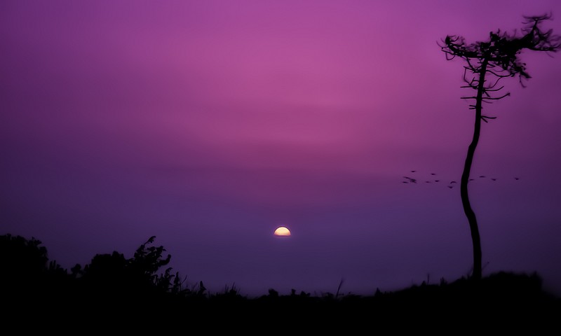 Il mio benessere è... contemplare la bellezza di un tramonto, i suoi colori e le sue continue sfumature che cambiano...credo che nessuno possa rimanere indifferente ad un tramonto: con i suoi giochi di luce e di colori, è un momento della giornata che provoca riflessioni, suggestioni e fascino.