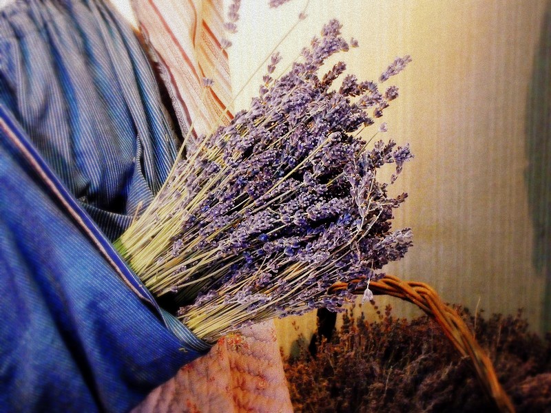 Il mio benessere è... la lavanda! Grazie a questa pianta aromatica che ho scoperto durante un viaggio in Provenza ( Francia), in particolare alle proprietà dei suoi oli essenziali, si può combattere ansia, insonnia, dolori mestruali, punture di insetto e irritazioni della pelle. I suoi principi attivi conferiscono alla pianta azione sedativa e calmante sul sistema nervoso. L' azione balsamica sulle vie respiratorie rende questa pianta un ottimo rimedio contro le malattie da raffreddamento.