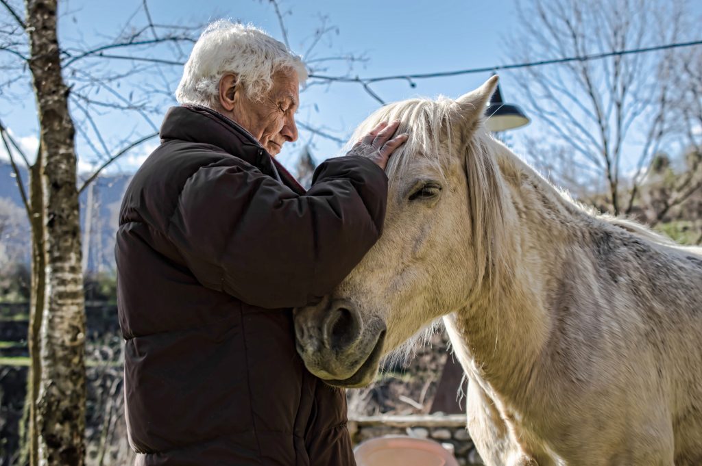 Il mio benessere è...il contatto con gli animali, domestici e non, migliora sicuramente la nostra vita. Ci aiuta a ridurre lo stress, l' ansia e la depressione e allevia la solitudine. Anche solo la loro vicinanza o il solo accarezzarli ci trasmette benessere e felicità e un senso di appagamento che migliorano, senza ombra di dubbio, il nostro stato d' animo.