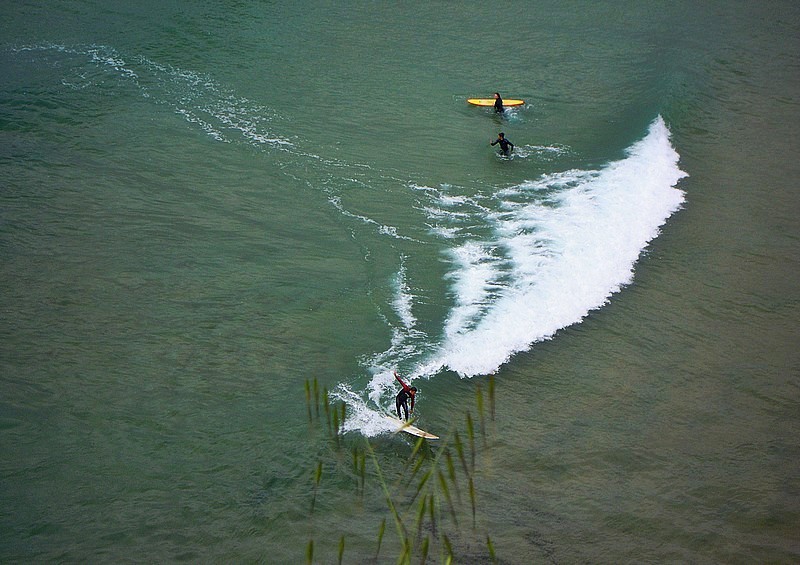 Il mio benessere è...surfare!
La pratica del surf aiuta bruciare circa 400 calorie all'ora, inoltre è un'ottimo sport che tonifica molti dei muscoli del corpo. La schiena è stimolata, così come le spalle, le braccia e le gambe. E poi non c' é nulla di più divertente che lasciarsi trasportare dalle onde!