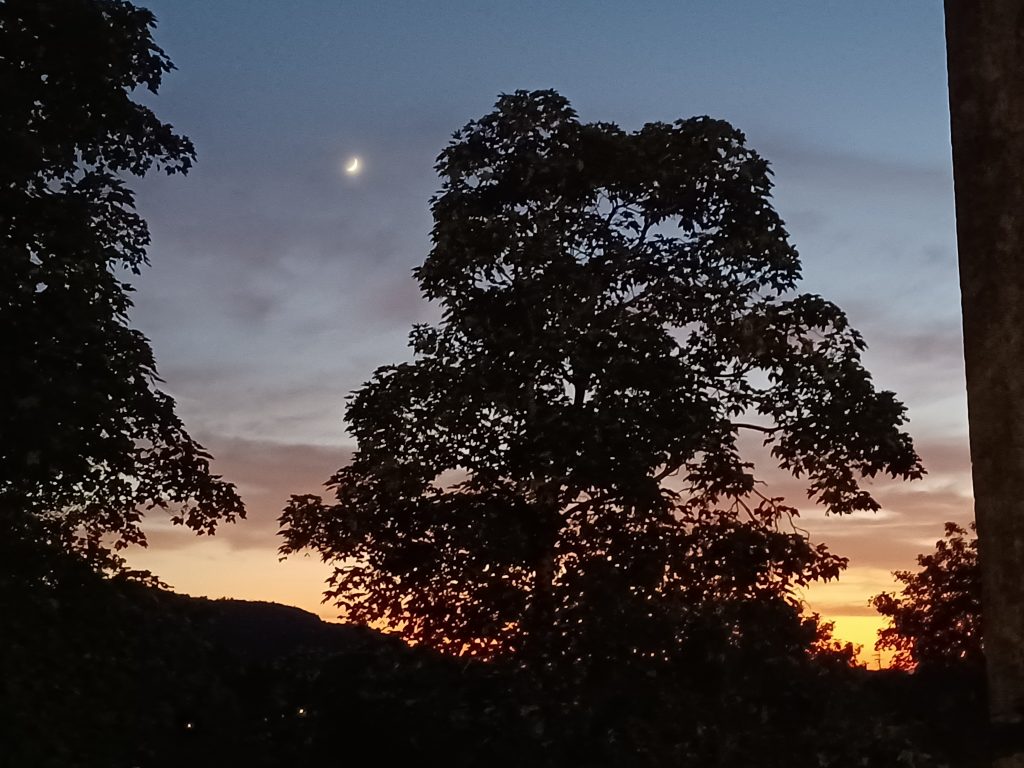 alzare gli occhi al cielo e vedere le stelle