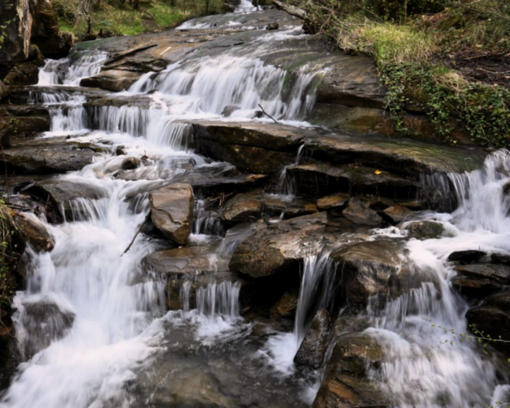 Essere immersa nello splendore della natura