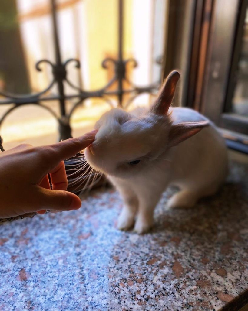 Amare…dalle creature più piccole ed apprezzarne la loro delicatezza…regalare emozioni!