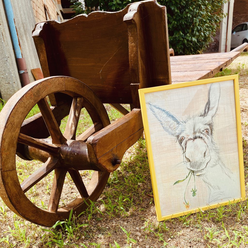 Vivere la campagna e apprezzare la bellezza della sua semplicità.