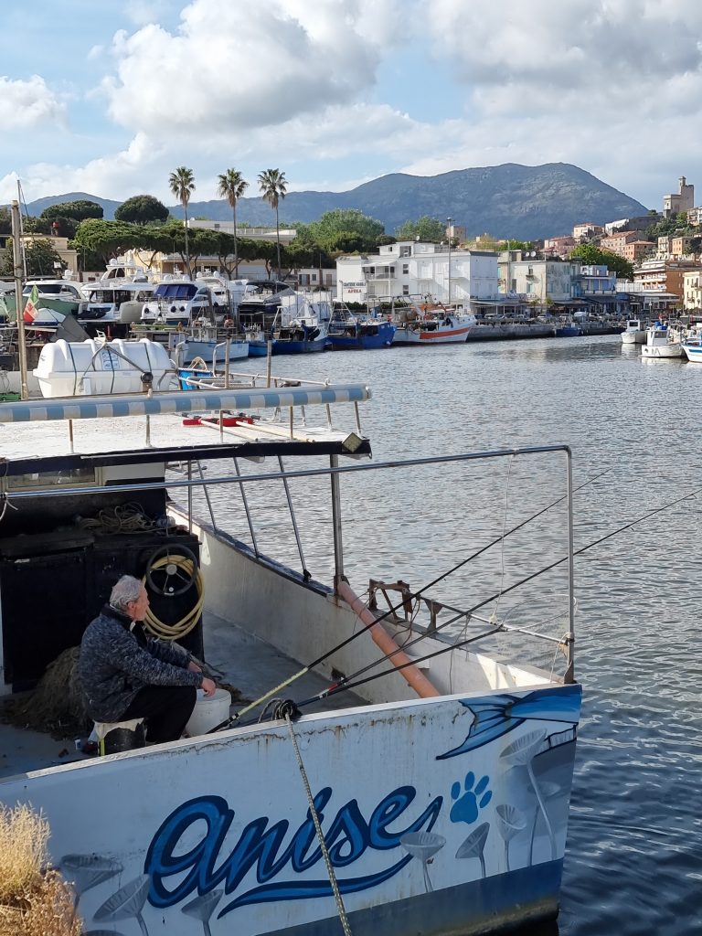 La pesca...ti consente di trascorrere ore piacevoli all' aria aperta e offre numerosi benefici per la salute; é una ottima scuola di pazienza e perseveranza; è un toccasana per l' equilibrio mentale poiché sarai avvolto da una atmosfera di pace e serenità. É un vero benessere riconnettersi con la natura.