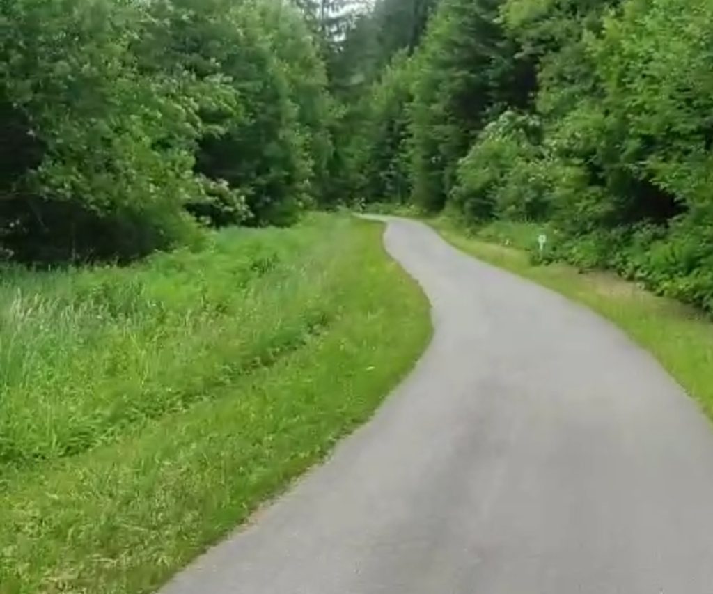 La bici in mezzo alla natura, all'ombra,in discesa, vicino a corsi d'acqua.