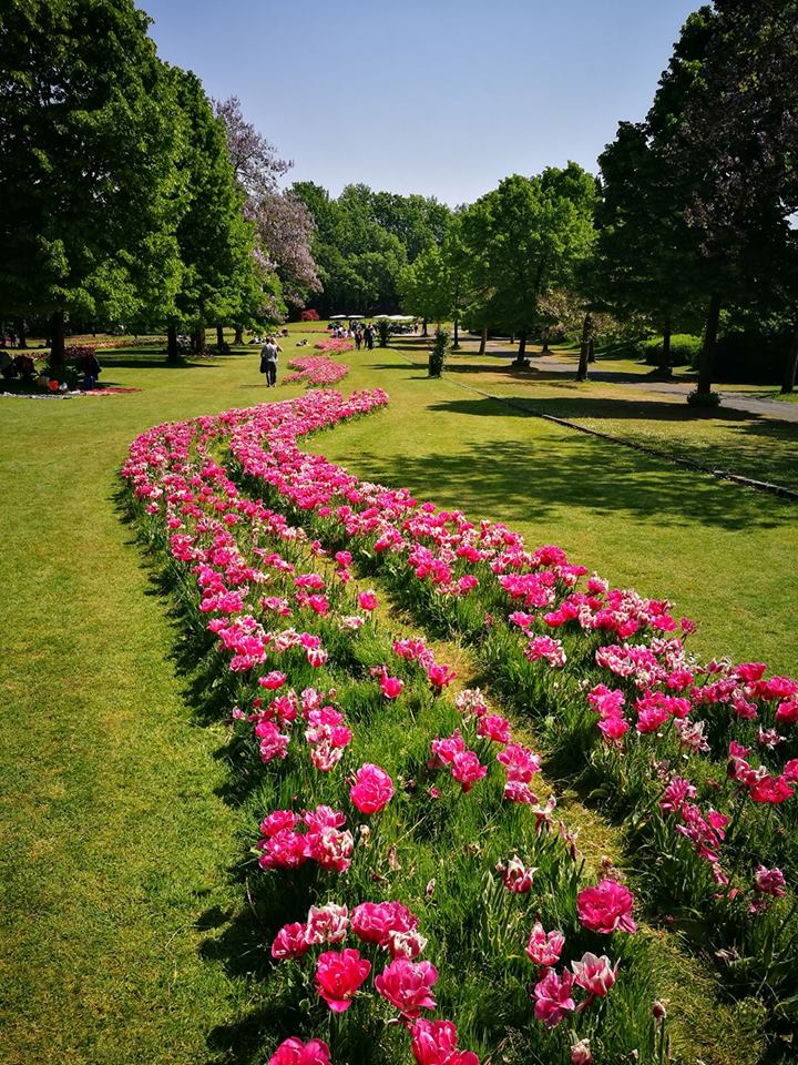 Il mio benessere è camminare in una giornata di sole tra i colori della natura, lasciandomi guidare dal profumo dei fiori.
Tra il verde degli alberi e l’aria di primavera ritrovo leggerezza, serenità e la semplice gioia di essere qui