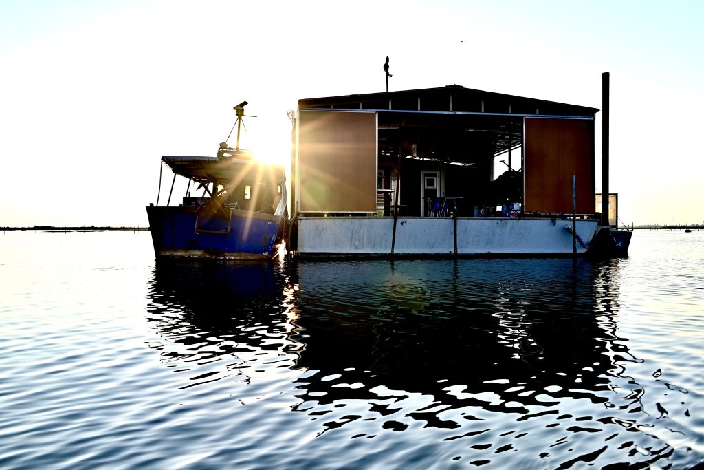 Una piccola barca e una casa galleggiante, per farmi cullare dalle onde e rilassarmi nel totale silenzio