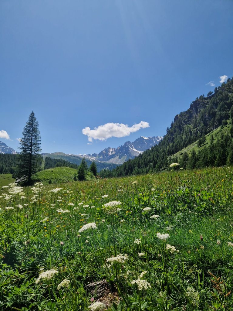 Il contatto con la natura, respirare aria fresca, immerso nel verde, questo è il mio benessere