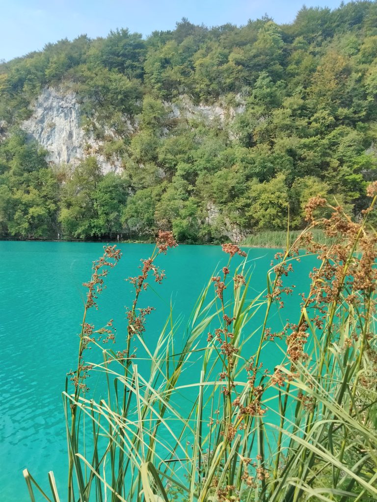 Viaggiare e vedere mondi fantastici