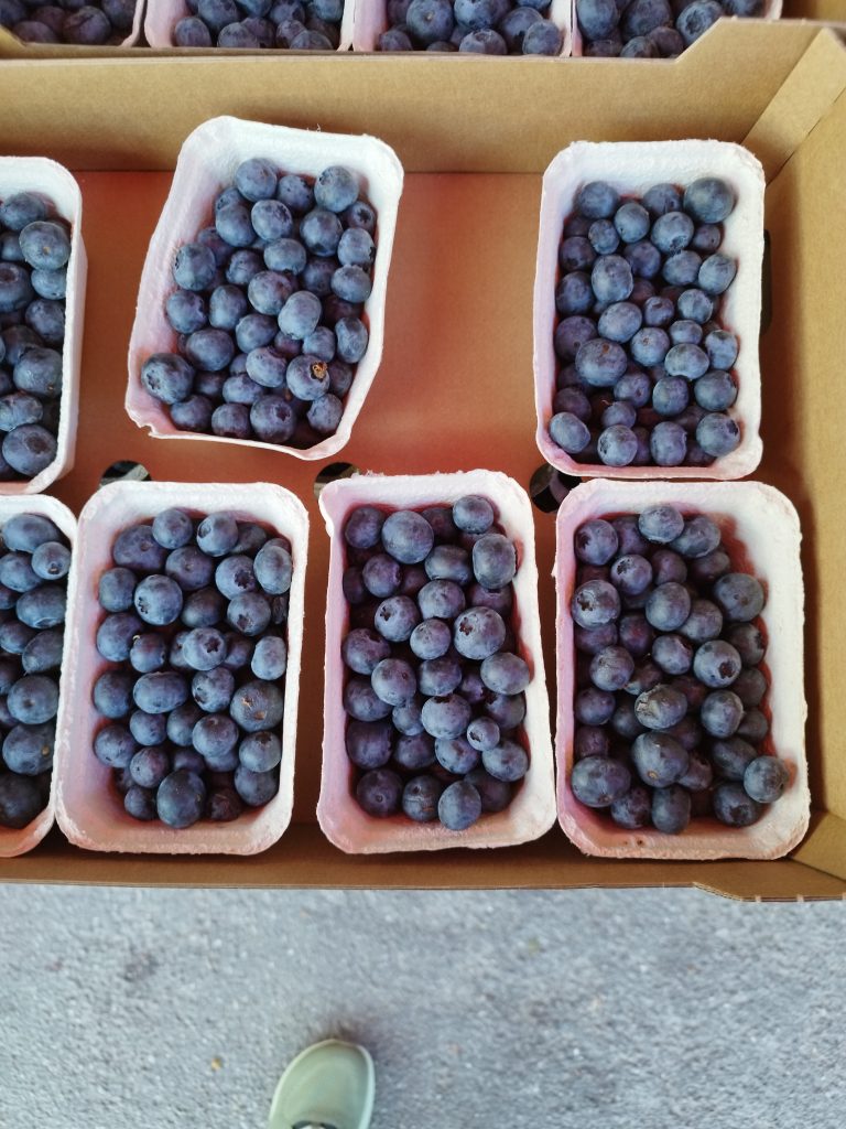 frutta fresca e di stagione