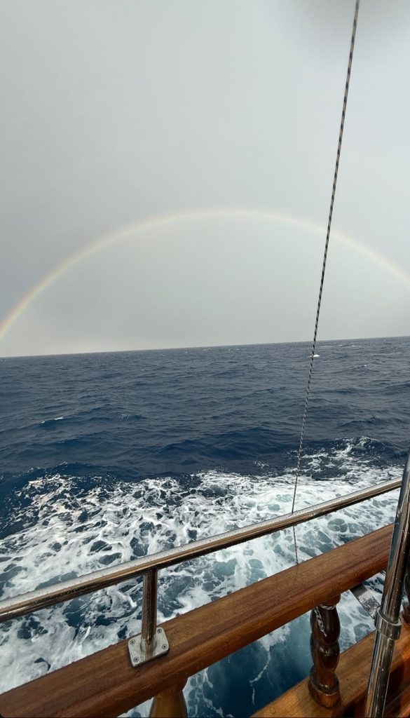 Benessere è sentirsi parte del mare.
Nel silenzio del mare aperto, l’arcobaleno diventa promessa di pace e rinascita.
Ogni colore accarezza lo sguardo, ogni onda porta via i pensieri.
Resta solo la libertà, pura e luminosa come l’acqua che ti avvolge.