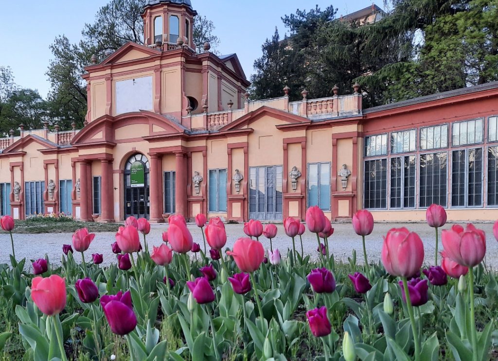 Le passeggiate nei parchi in primavera mi fanno sentire meglio: l’aria fresca, il profumo delle foglie nuove e dei primi germogli danno energia e aiutano a respirare più profondamente. Il verde chiaro delle foglie appena nate trasmette una sensazione di vitalità. Nel giardino degli Estensi, le aiuole di tulipani annunciano l’arrivo della primavera.