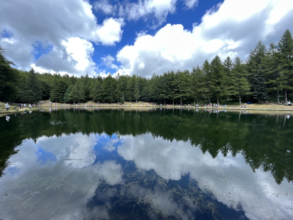 Oggi 5 giugno è la giornata mondiale dell’ambiente. Il lago della Ninfa è di rara bellezza e cerchiamo di preservarlo.