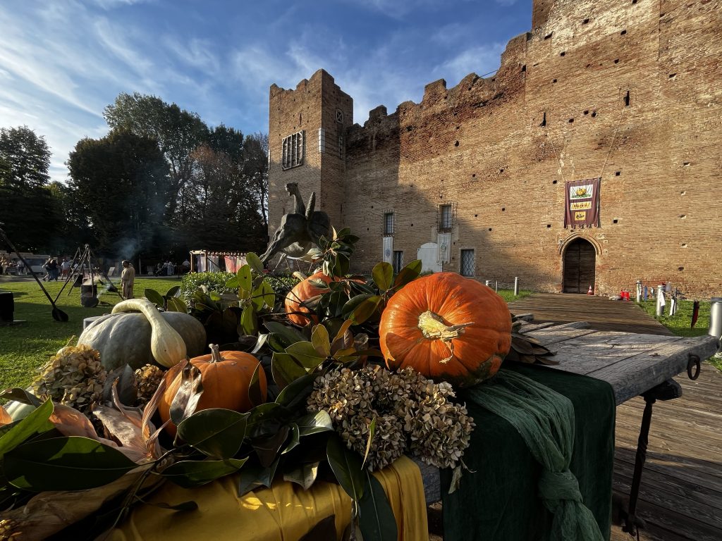 Le sagre del paese sono bellissime. Rappresentano le città, le tradizioni e cultura. La zucca è la protagonista dell’autunno.