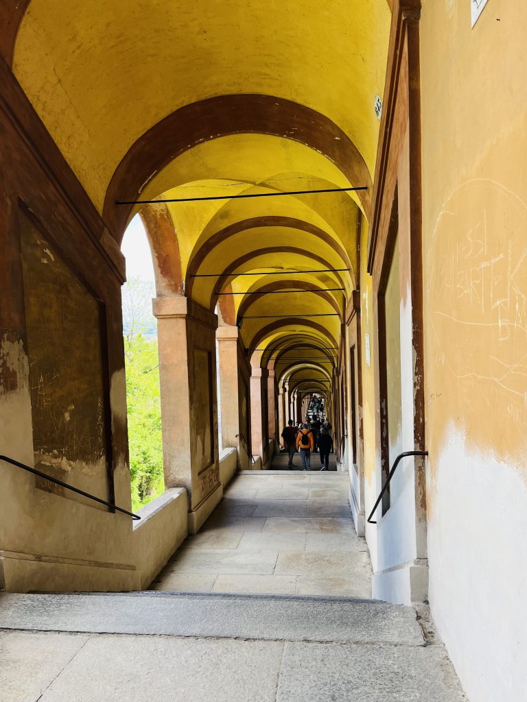 Domenica scorsa ho camminato per 8 km sotto i portici di San Luca: una fatica bellissima, quasi meditativa. Mentre salivo, immaginavo i frati che percorrevano lo stesso tragitto per andare a messa, passo dopo passo, in silenzio e raccoglimento. Un cammino che ancora oggi sembra portare dentro e non solo in alto.