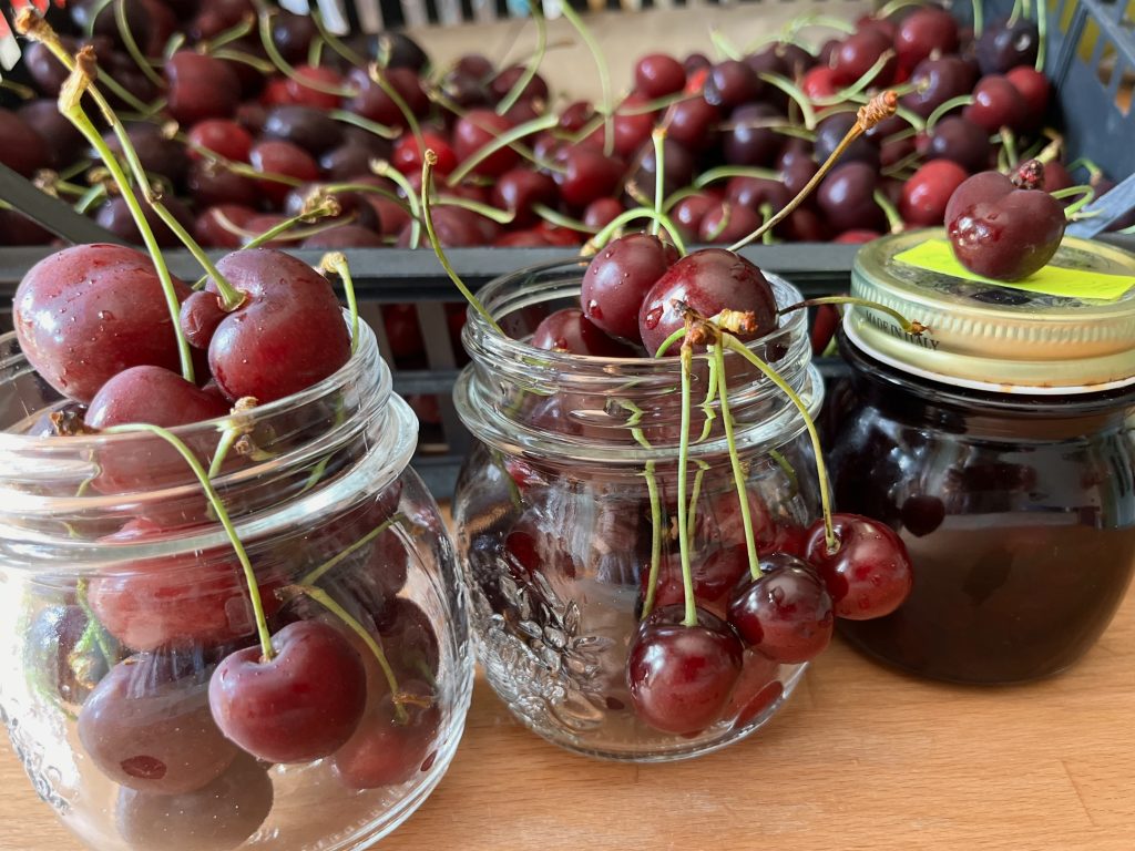 Duroni di Vignola. Anche quest’anno faccio la marmellata. Ci vuole la pazienza a snocciolare tutti frutti. La marmellata fatta in casa non ha prezzo