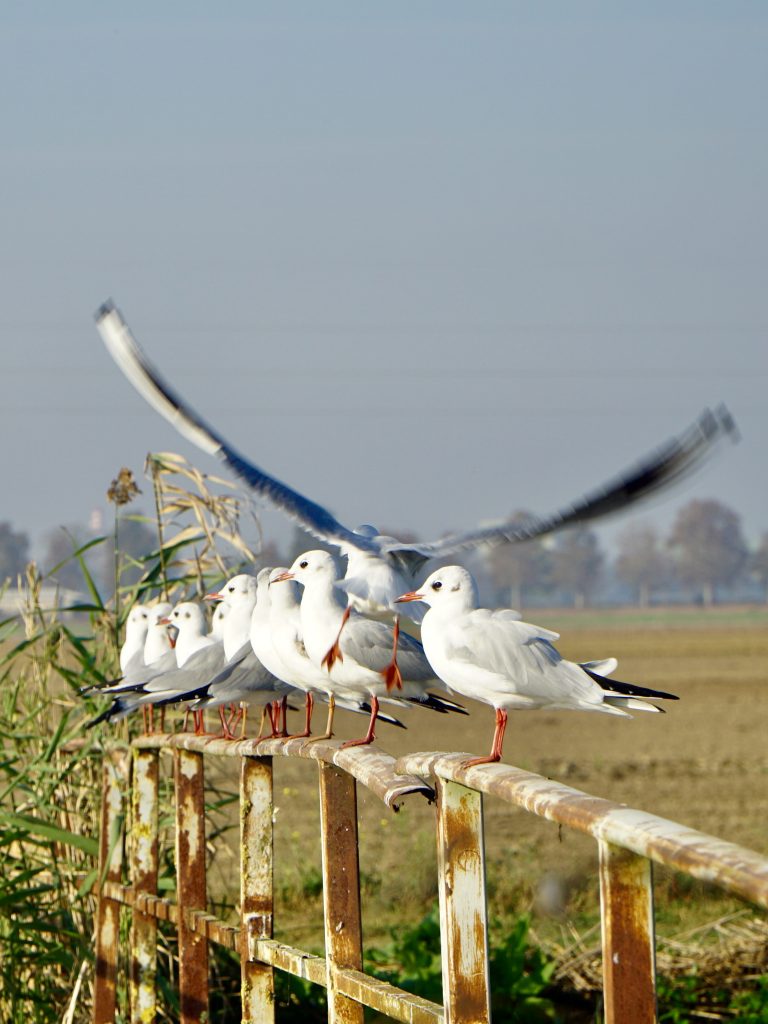 Il mio benessere è star bene con il mio corpo, avere la salute, star bene con le persone che amo, andare spesso in vacanza per fare delle bellissime foto, perché amo fotografare tutto ciò che mi circonda.