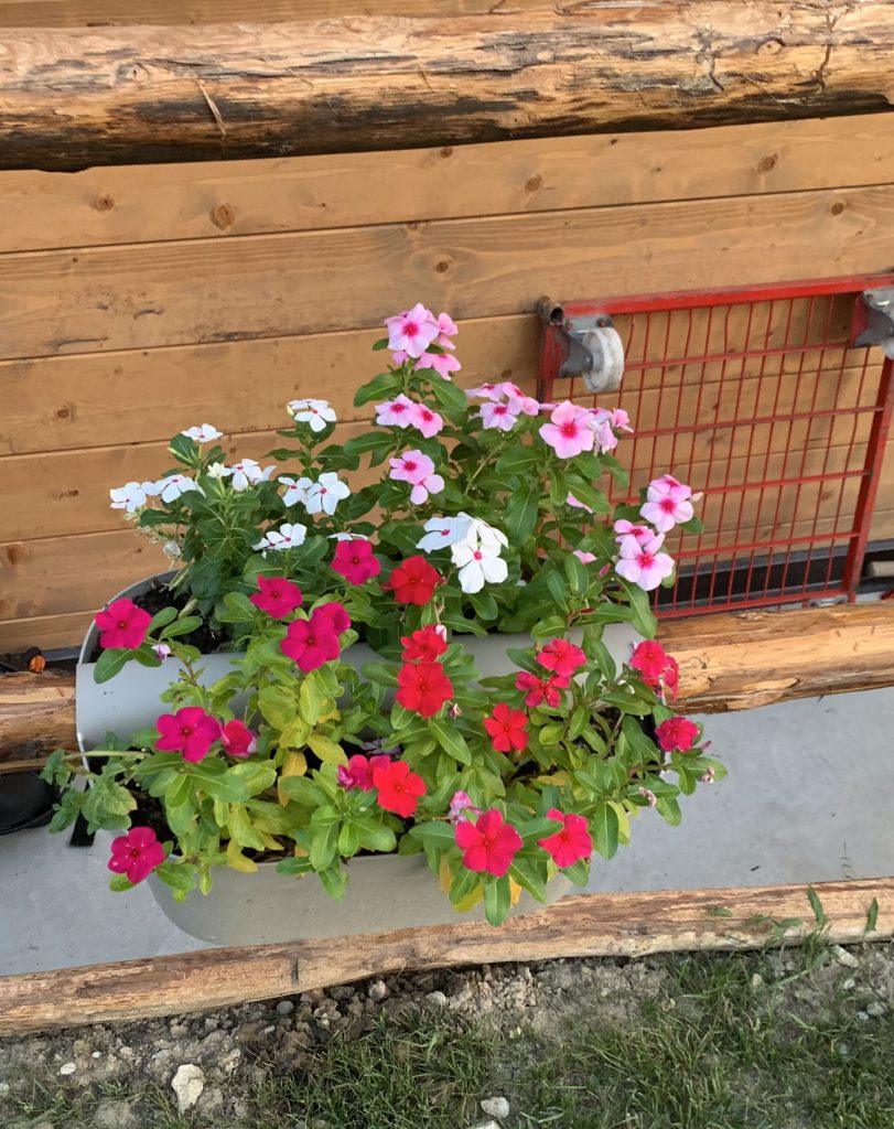 Riempirmi dei colori della natura per sentirmi meglio!