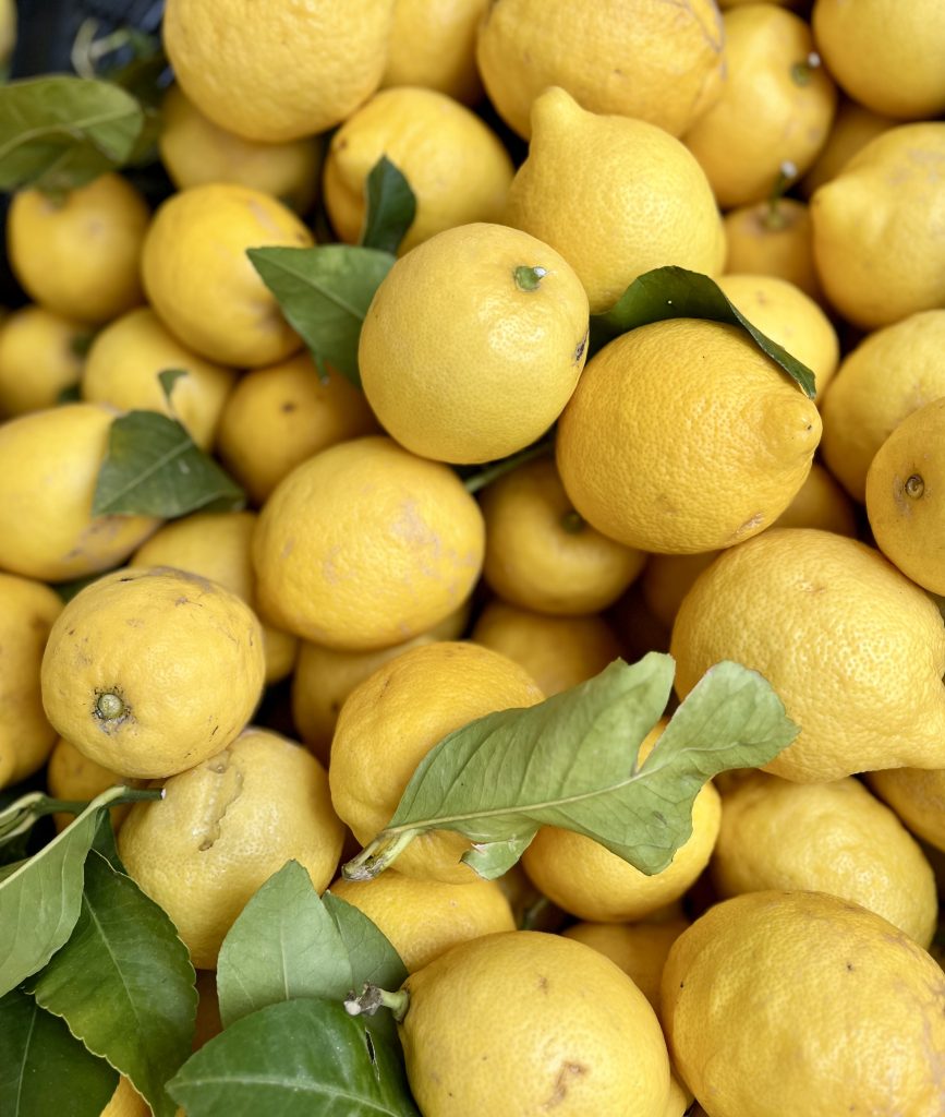 I limoni fanno bene perché sono come piccoli raggi di sole: pieni di vitamina C, aiutano le difese e regalano freschezza al corpo.
E forse è proprio per questo che mi piacciono: hanno un sapore aspro, ma sanno rendere dolce anche una semplice giornata.
