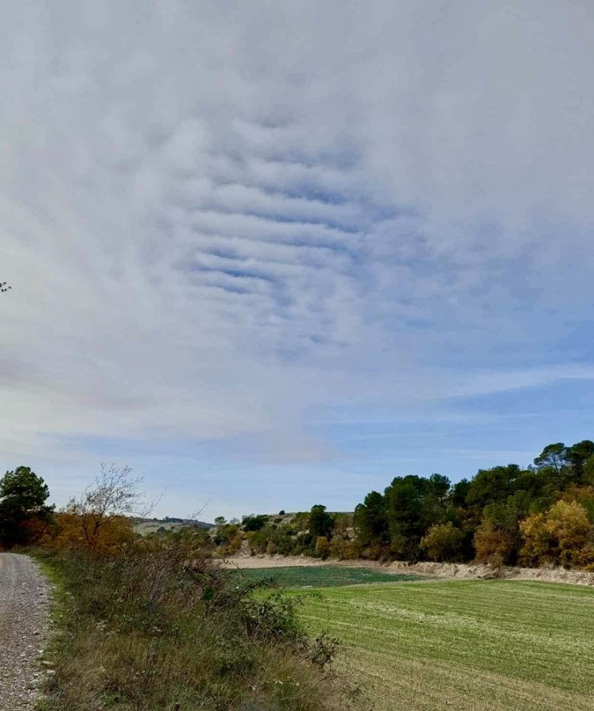Mi piace camminare all'aria aperta e con la luce del giorno, che mi stimola la produzione di vitamina D, importante per il sostegno delle ossa e per rafforzare il sistema immunitario. Ogni tanto fisso il cielo celeste ed unico, trovo le figure che fanno lavorare la mia immaginazione.