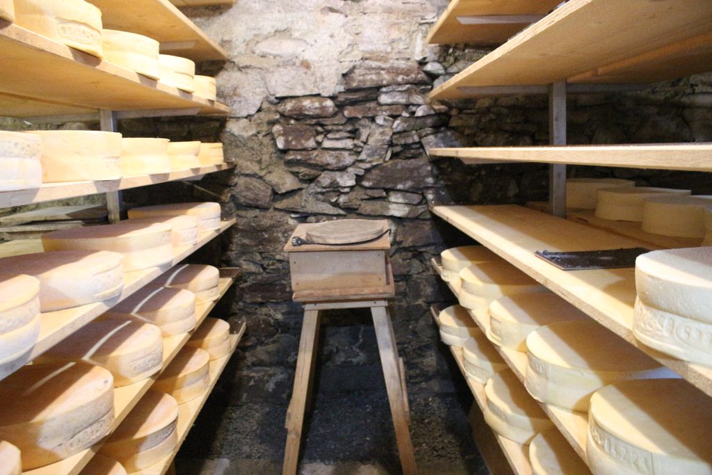 Mi piace assaggiare i formaggi dei caseifici d'alta quota, dove hanno un sapore genuino, autentico e ricco di tradizione.