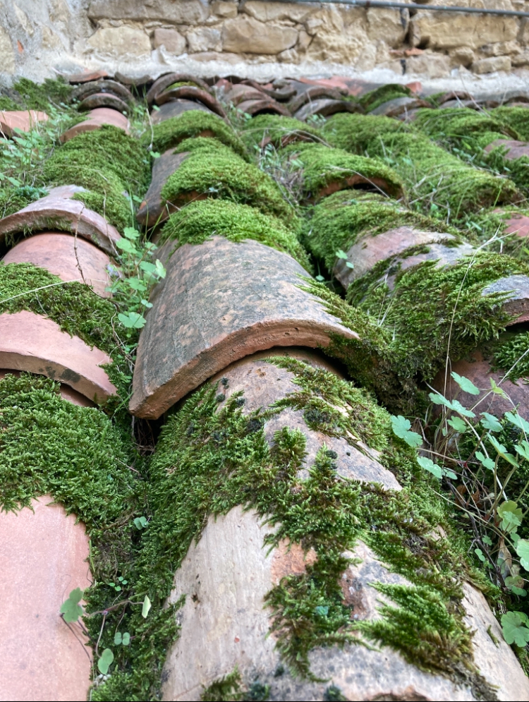 Il mio benessere è il silenzio di un tetto in un borgo abbandonato