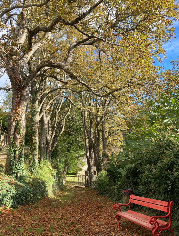 Il mio benessere è vivere una giornata con i colori dell’ autunno
