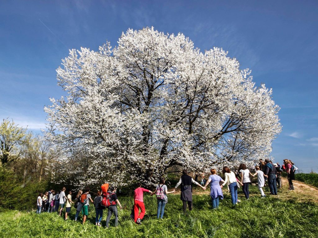 Il mio benessere è condividerlo con tutti