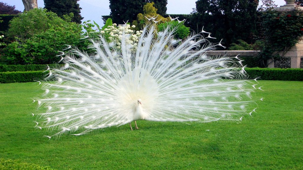 ammirare tutto quello che ci circonda