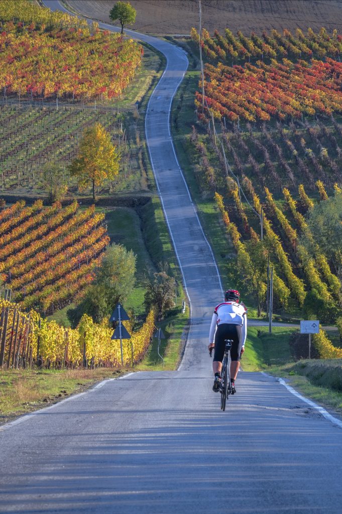 Pedalare sui colli piacentini, tra il foliage dei filari della Valtidone