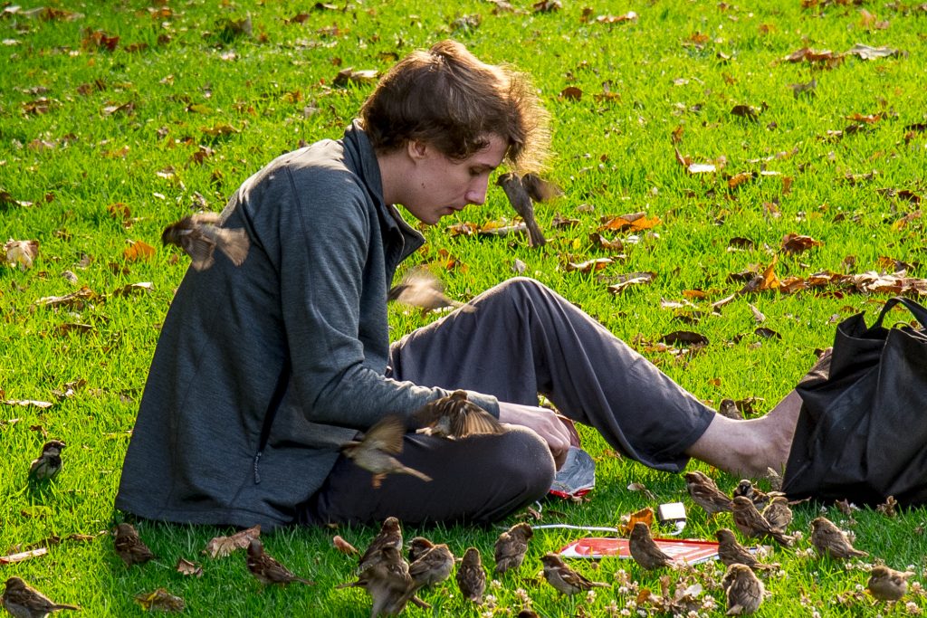 Sentire il cinguettio degli uccelli come quando ero bambino