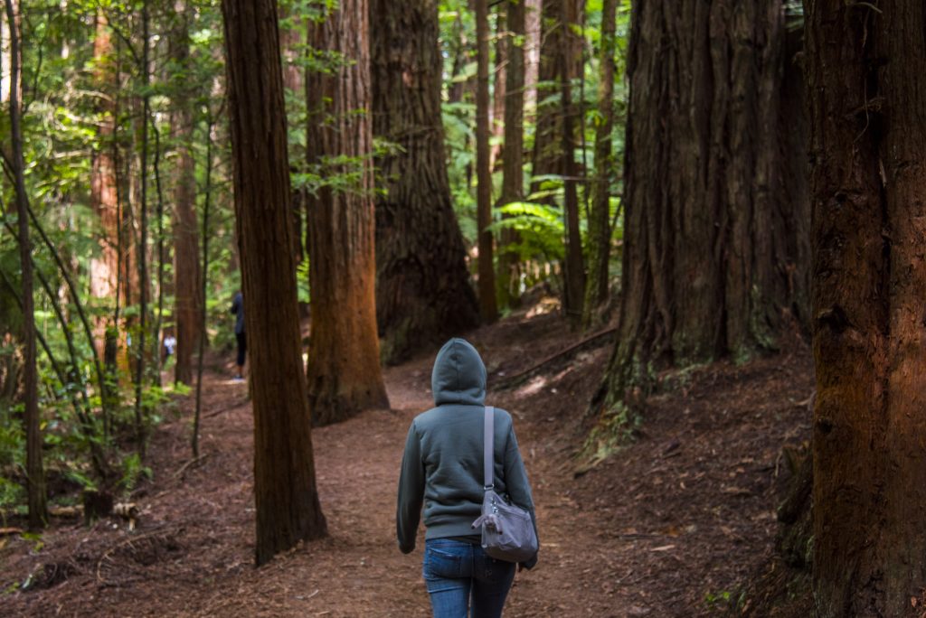 camminare per i boschi e riconnettermi con l'ambiente circostante non appena ho l'opportunità di evadere dalla città