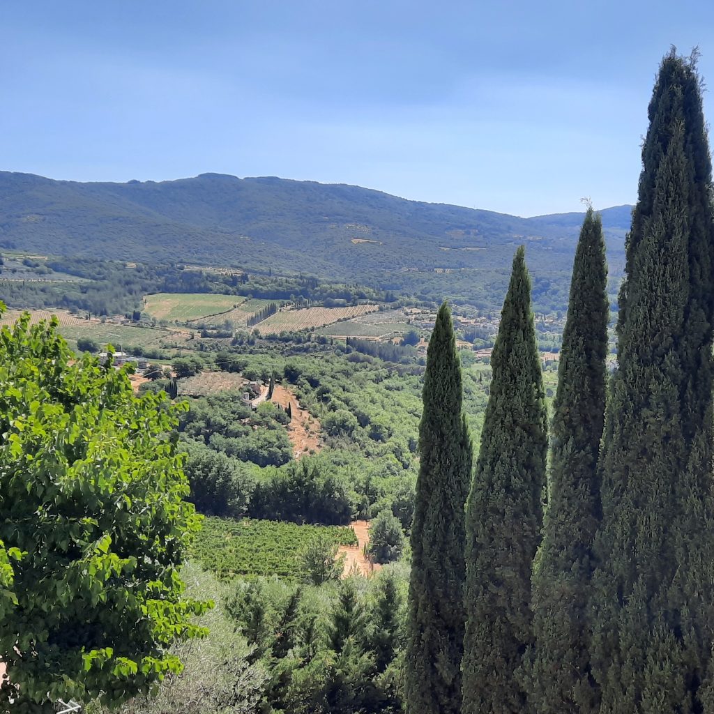 Il vino di Chianti è un elisir unico. Vado sempre acquistare i vini nelle aziende che li producono. In Toscana c’è una scelta infinita.
