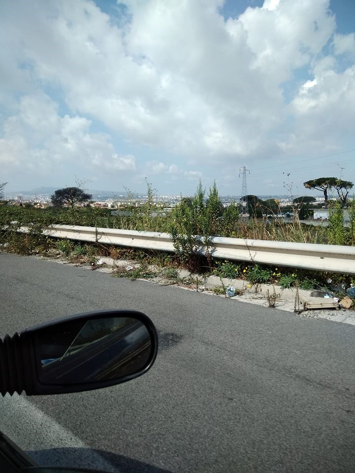 In viaggio verso la mia famiglia!