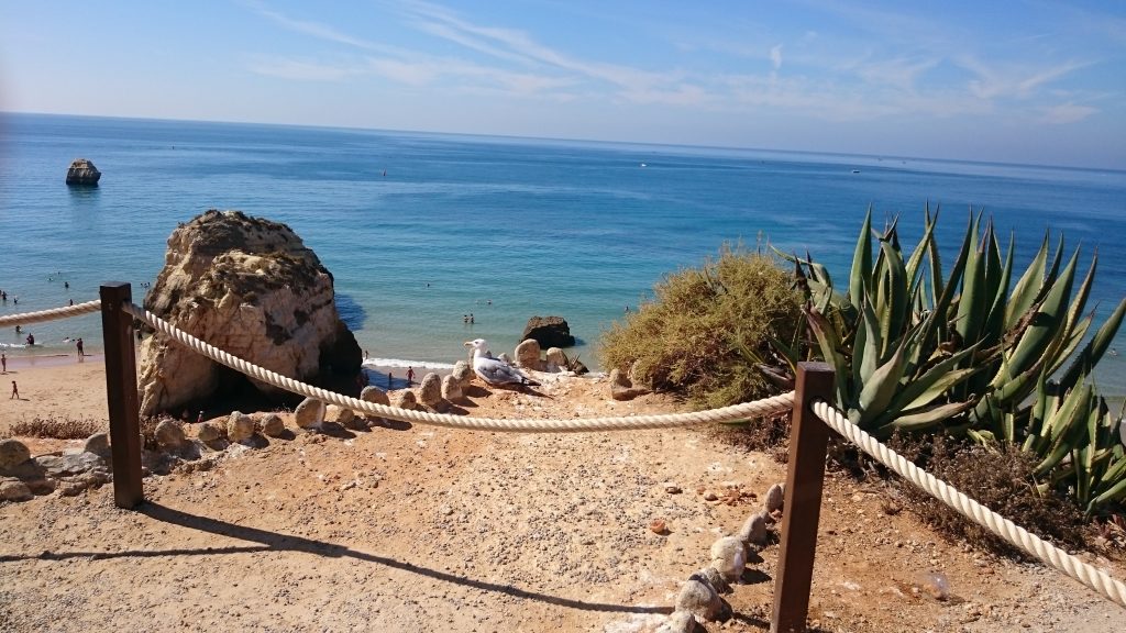 respirare l’aria dell’oceano e perdermi nel blu tra mare e cielo